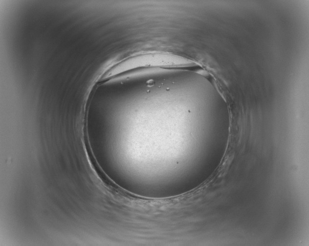 X0000068750003200605051552