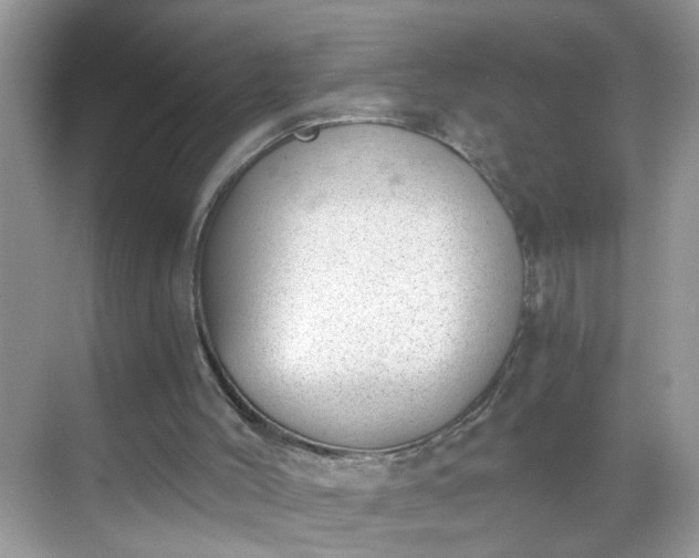 X0000068750004200605051552