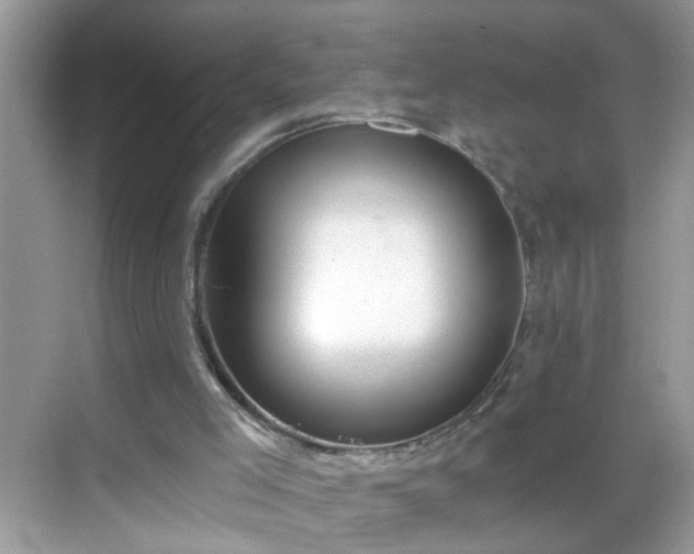 X0000068750005200605051552