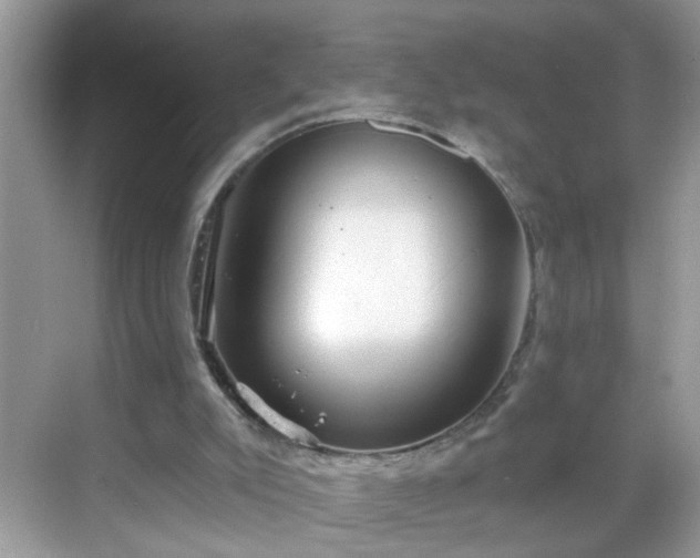 X0000068750007200605051552