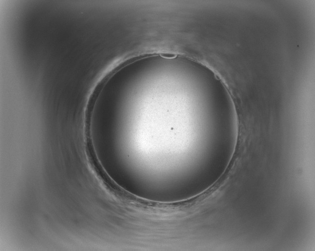 X0000068750008200605051552