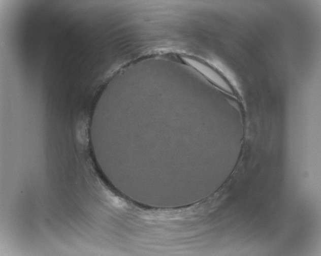 X0000068750009200605051552