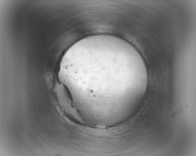 X0000068750010200605051552