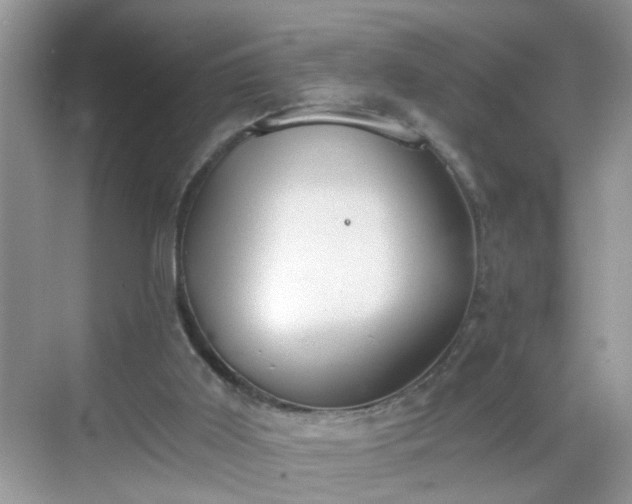 X0000068750011200605051552