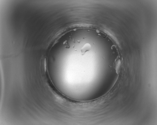 X0000068750013200605051552