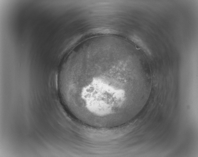 X0000068750014200605051552