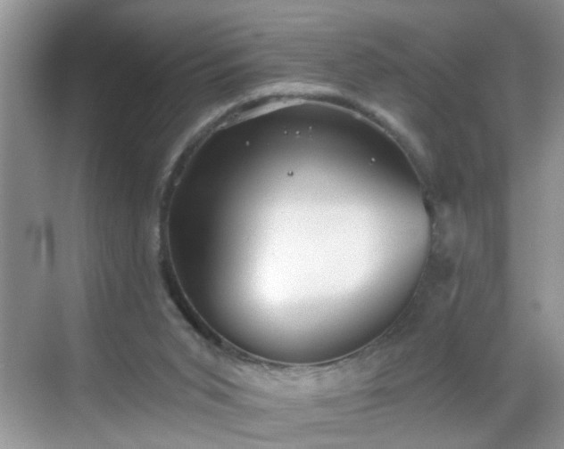 X0000068750015200605051552