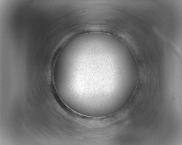 X0000068750016200605051552