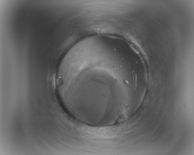 X0000068750019200605051551