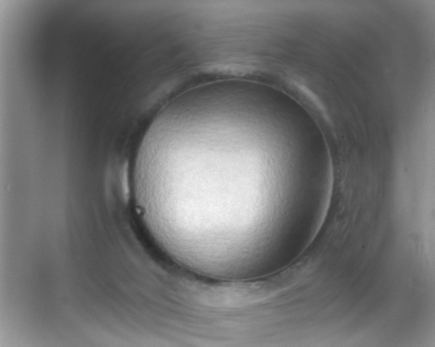 X0000068750020200605051551