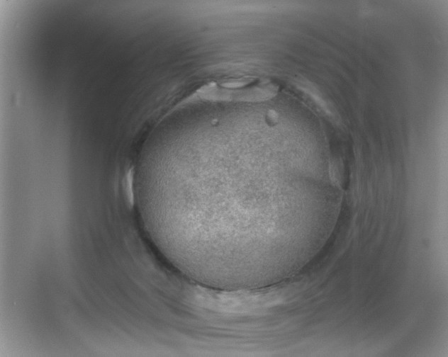 X0000068750022200605051551