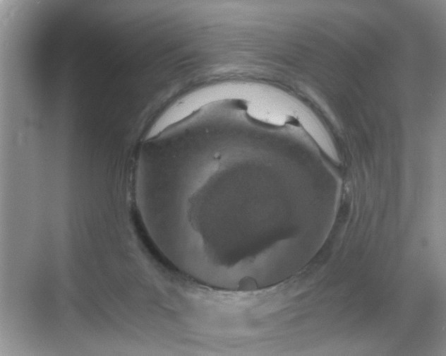 X0000068750023200605051551