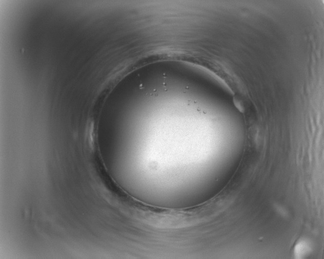 X0000068750024200605051551