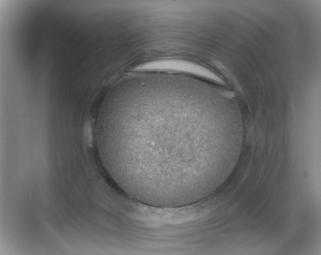 X0000068750026200605051551