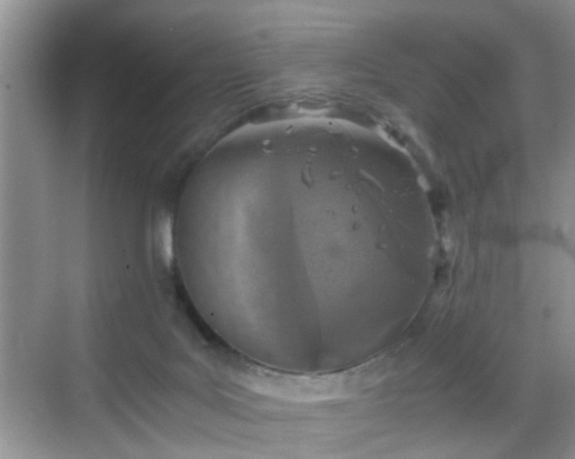 X0000068750027200605051551