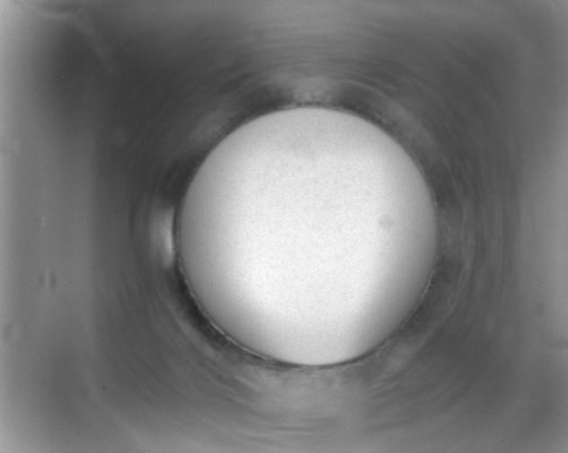 X0000068750028200605051551