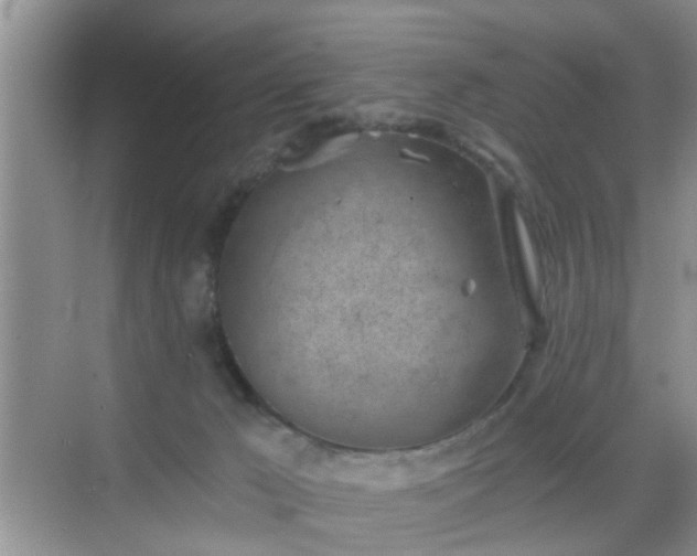 X0000068750029200605051551