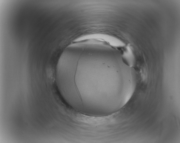 X0000068750031200605051551