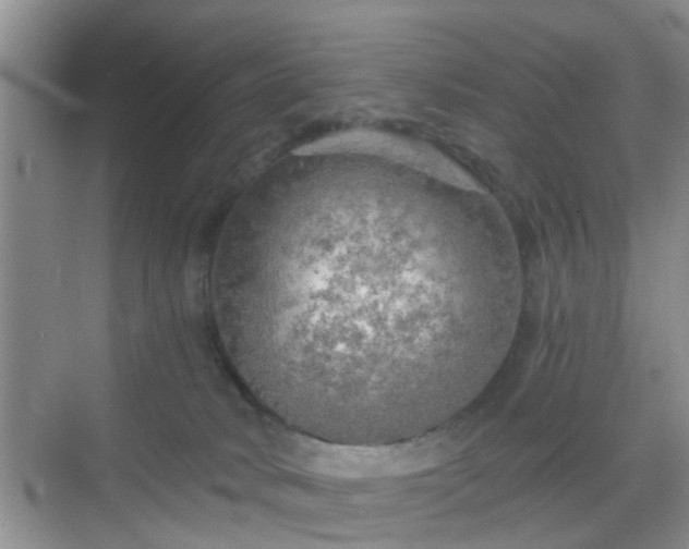 X0000068750034200605051551