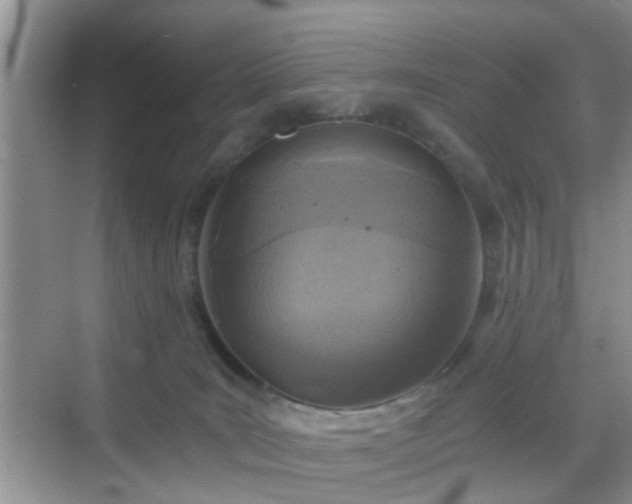 X0000068750035200605051551