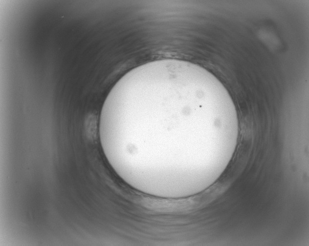 X0000068750036200605051551