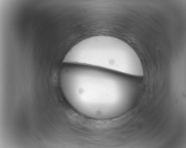 X0000068750037200605051551