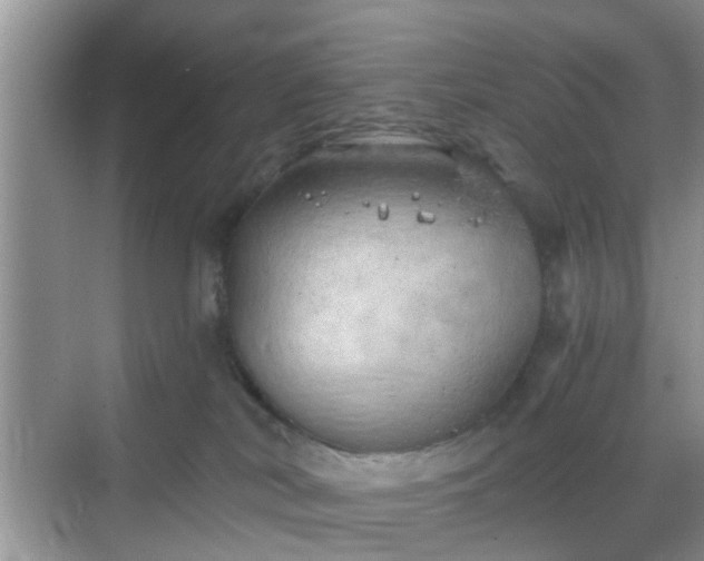 X0000068750038200605051551