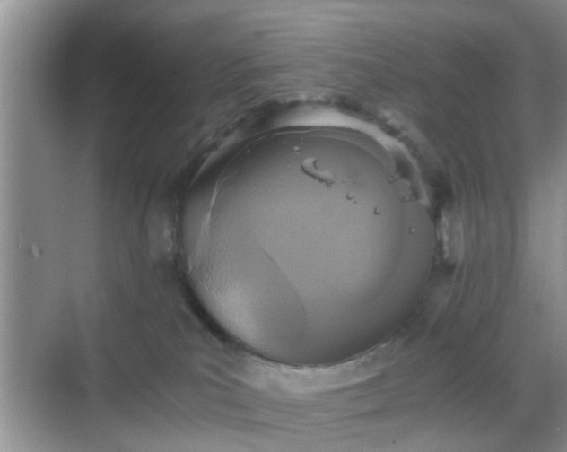 X0000068750039200605051551