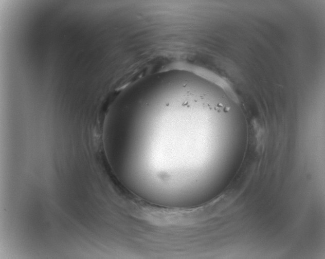 X0000068750040200605051551