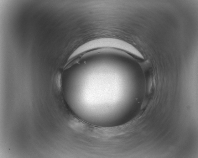 X0000068750041200605051551