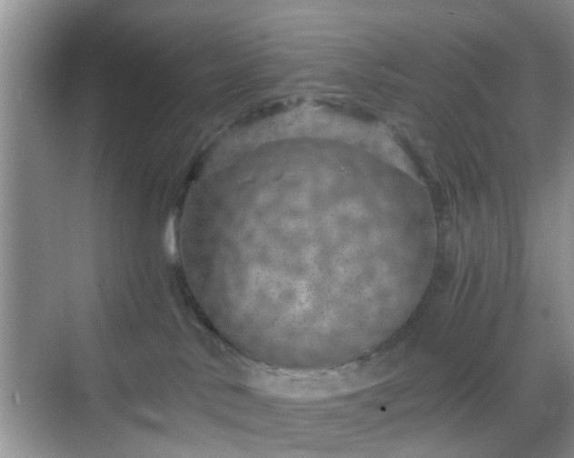 X0000068750042200605051551