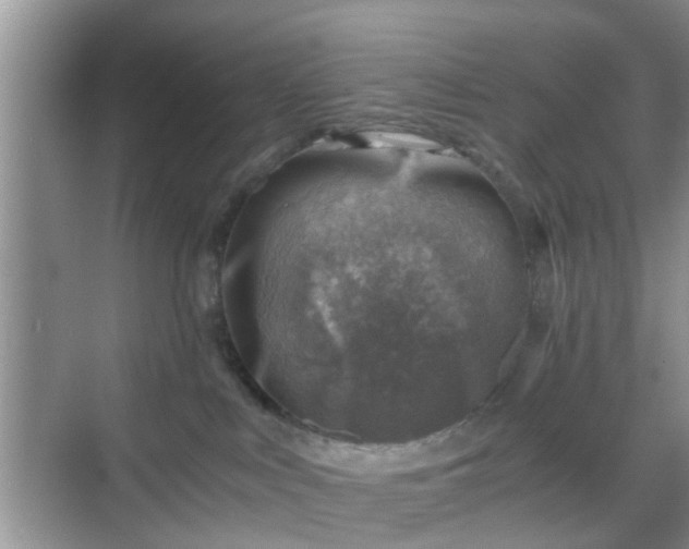 X0000068750043200605051551