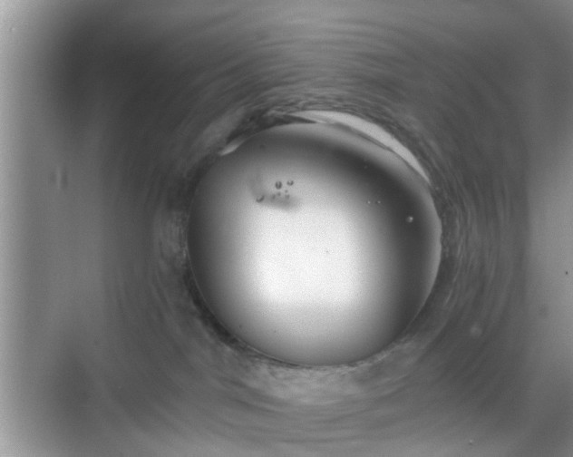 X0000068750044200605051551