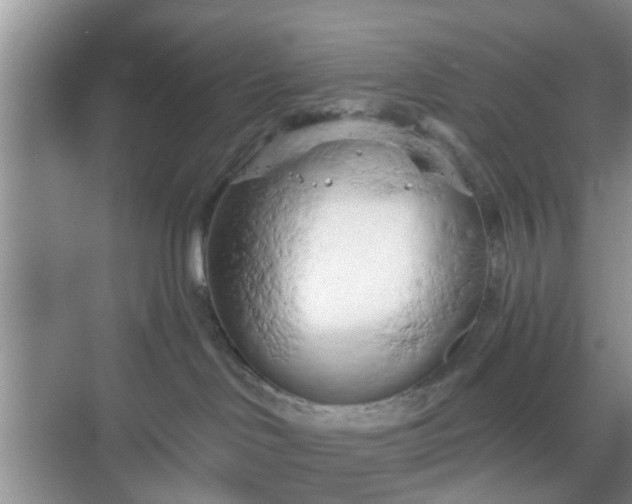 X0000068750046200605051551