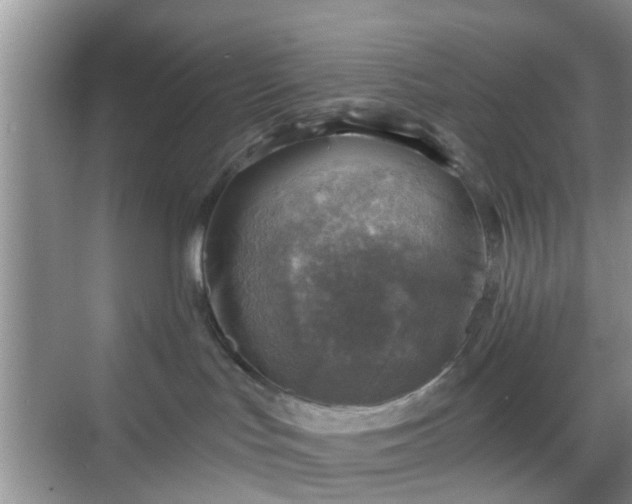 X0000068750047200605051551