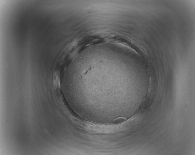 X0000068750048200605051551