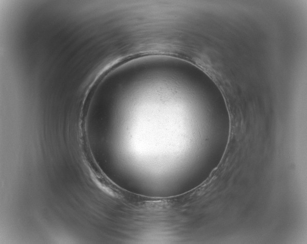 X0000068750050200605051550