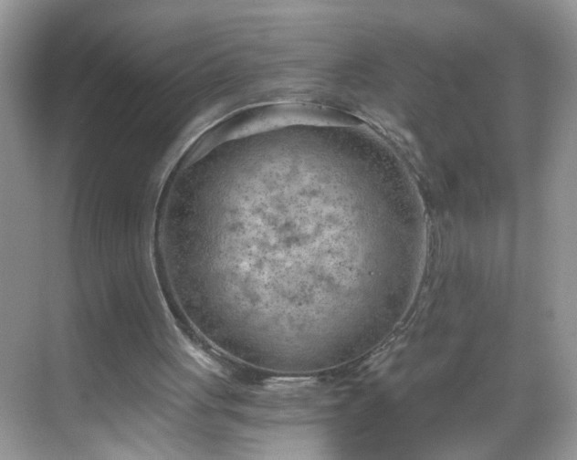 X0000068750051200605051550