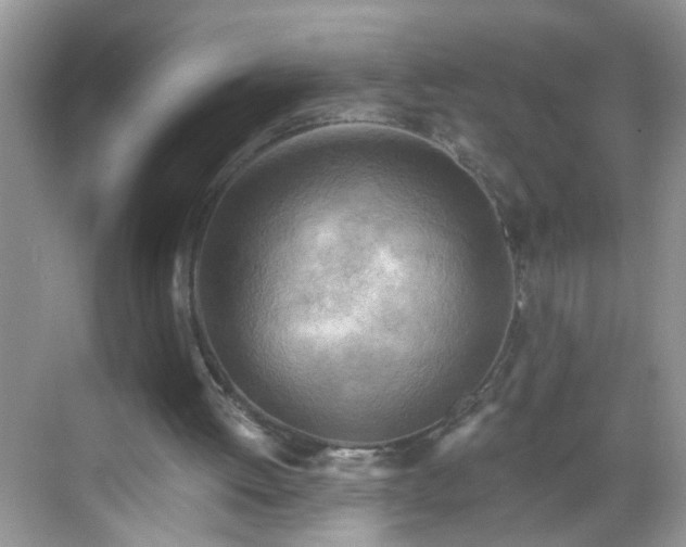 X0000068750052200605051550