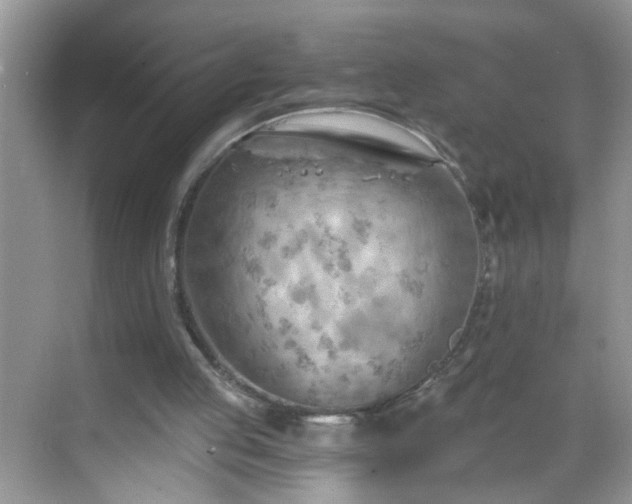 X0000068750053200605051550