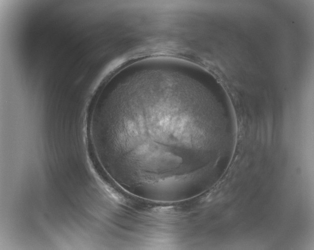 X0000068750054200605051550