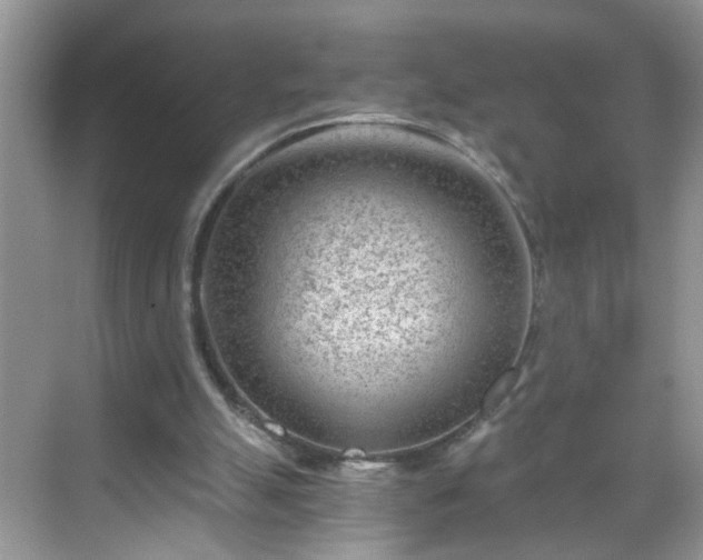 X0000068750055200605051550