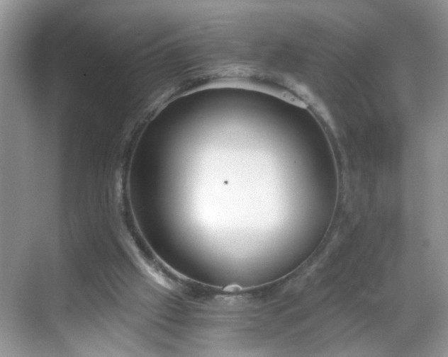 X0000068750057200605051550