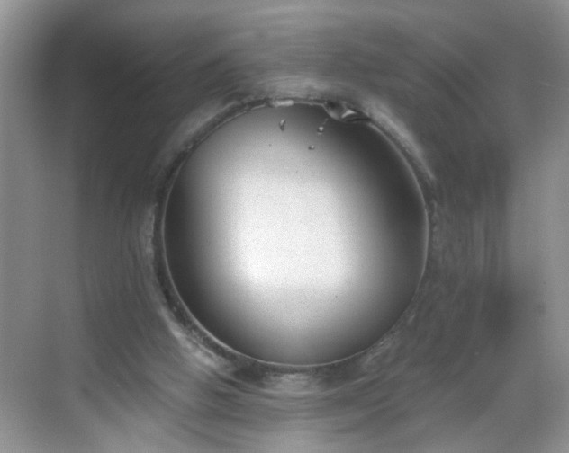 X0000068750058200605051550