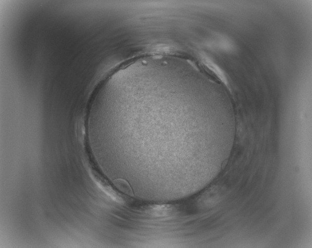 X0000068750059200605051550