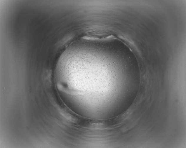 X0000068750066200605051550