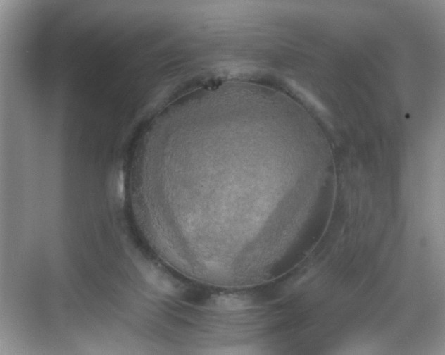 X0000068750067200605051550