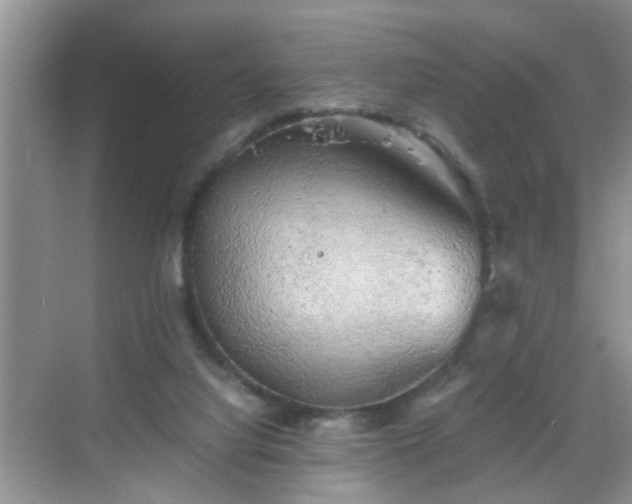 X0000068750068200605051551