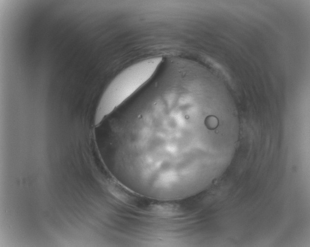 X0000068750069200605051551