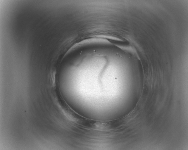 X0000068750070200605051551